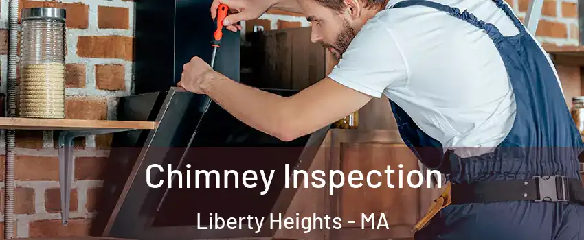 Chimney Inspection Liberty Heights - MA