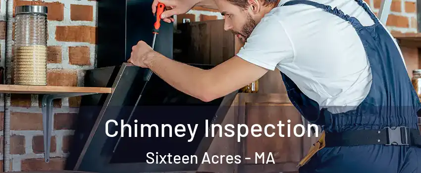 Chimney Inspection Sixteen Acres - MA