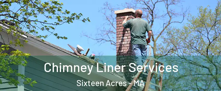 Chimney Liner Services Sixteen Acres - MA