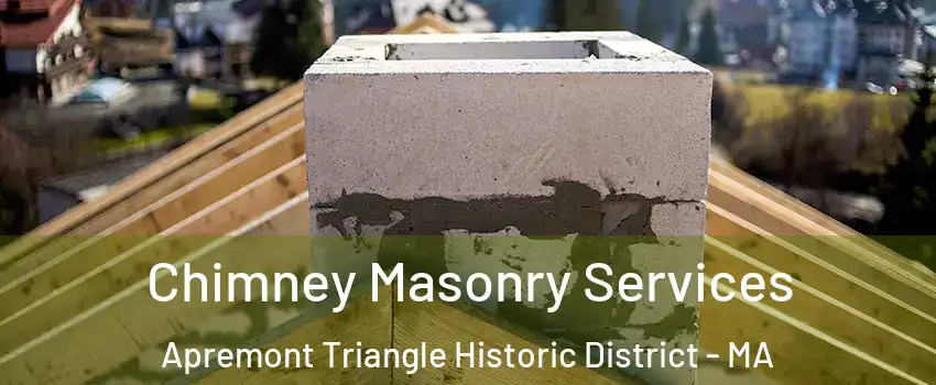 Chimney Masonry Services Apremont Triangle Historic District - MA