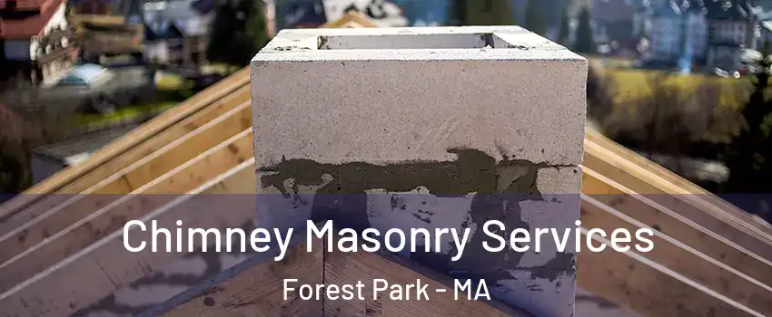 Chimney Masonry Services Forest Park - MA