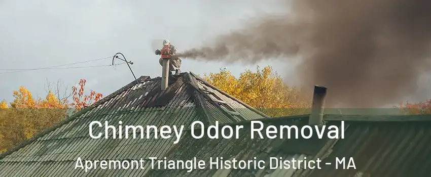Chimney Odor Removal Apremont Triangle Historic District - MA