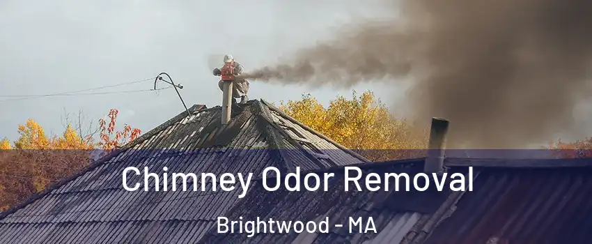 Chimney Odor Removal Brightwood - MA