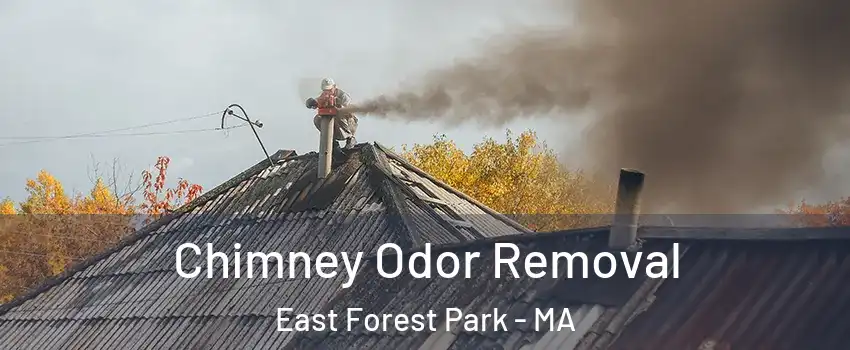 Chimney Odor Removal East Forest Park - MA