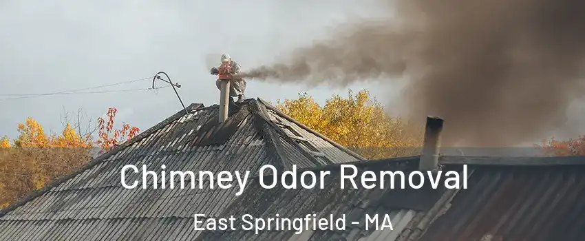 Chimney Odor Removal East Springfield - MA