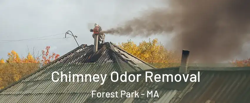 Chimney Odor Removal Forest Park - MA