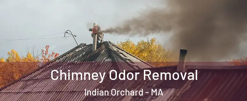 Chimney Odor Removal Indian Orchard - MA