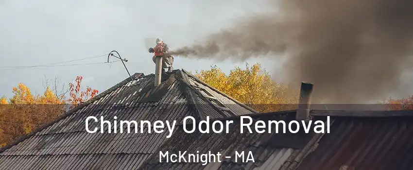 Chimney Odor Removal McKnight - MA