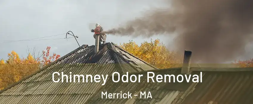 Chimney Odor Removal Merrick - MA