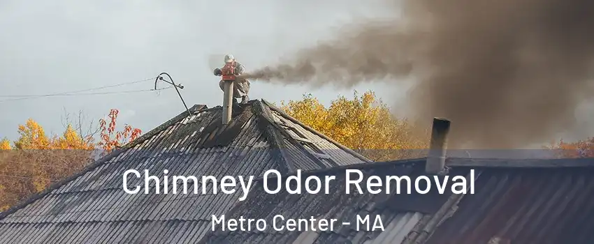 Chimney Odor Removal Metro Center - MA