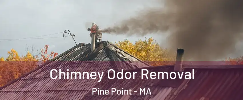 Chimney Odor Removal Pine Point - MA