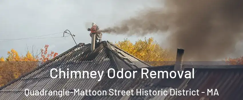 Chimney Odor Removal Quadrangle-Mattoon Street Historic District - MA