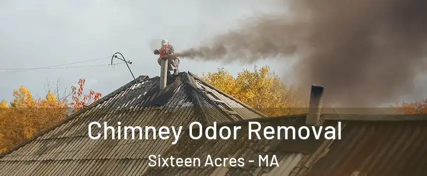 Chimney Odor Removal Sixteen Acres - MA
