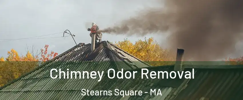 Chimney Odor Removal Stearns Square - MA