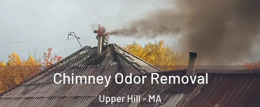 Chimney Odor Removal Upper Hill - MA