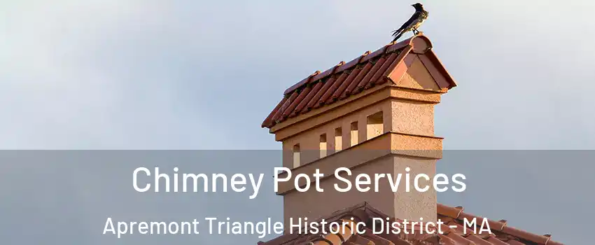 Chimney Pot Services Apremont Triangle Historic District - MA