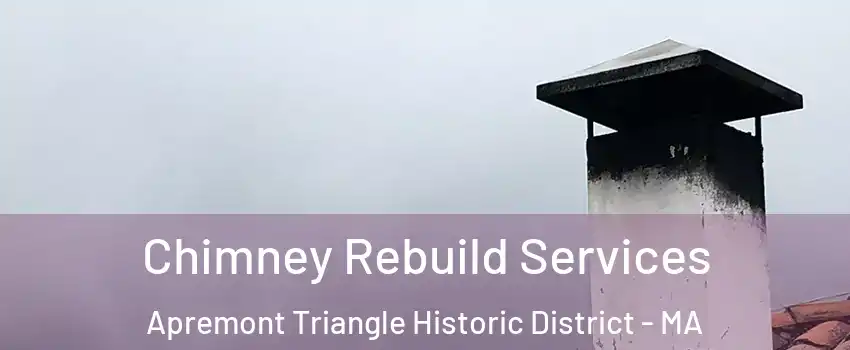 Chimney Rebuild Services Apremont Triangle Historic District - MA