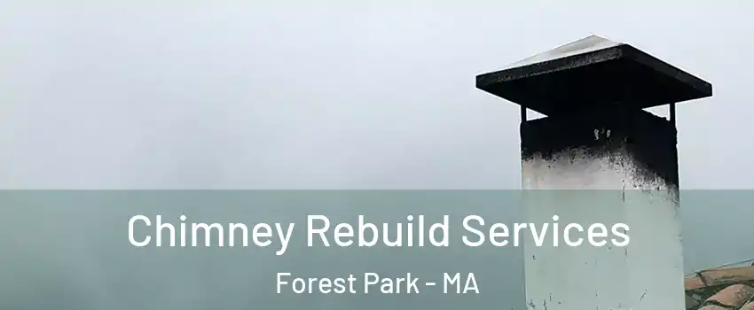 Chimney Rebuild Services Forest Park - MA