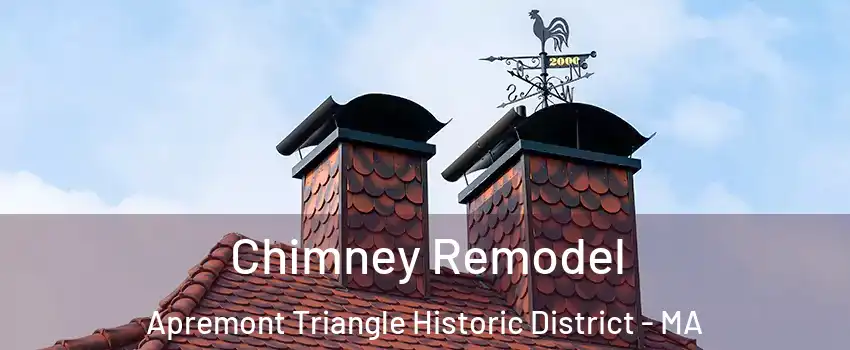 Chimney Remodel Apremont Triangle Historic District - MA
