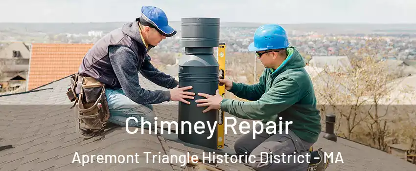 Chimney Repair Apremont Triangle Historic District - MA