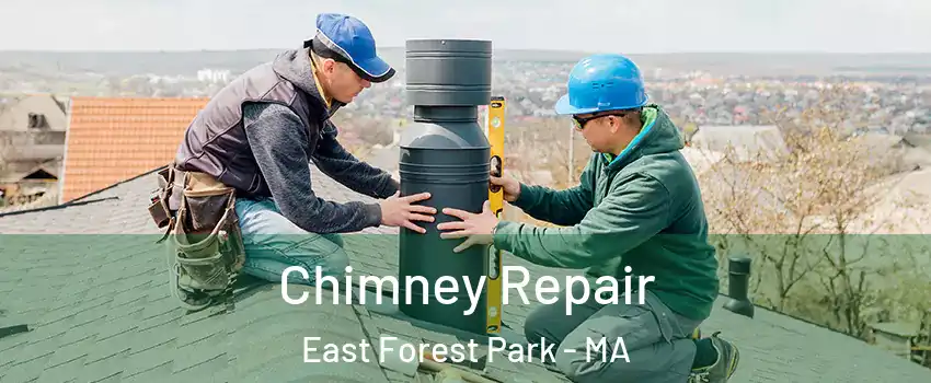 Chimney Repair East Forest Park - MA
