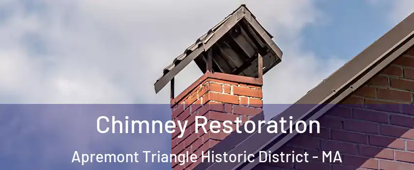 Chimney Restoration Apremont Triangle Historic District - MA