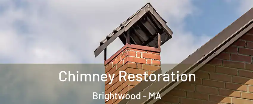 Chimney Restoration Brightwood - MA