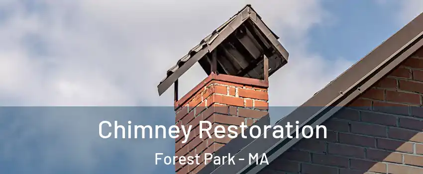 Chimney Restoration Forest Park - MA
