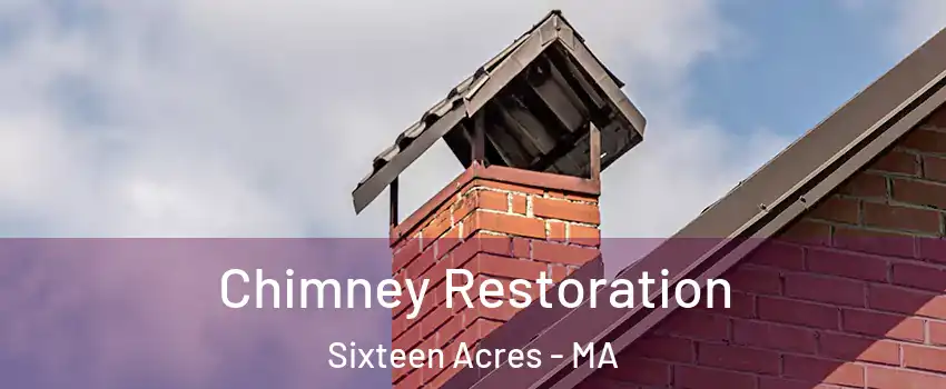 Chimney Restoration Sixteen Acres - MA