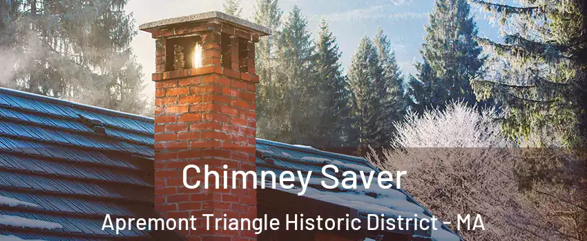 Chimney Saver Apremont Triangle Historic District - MA
