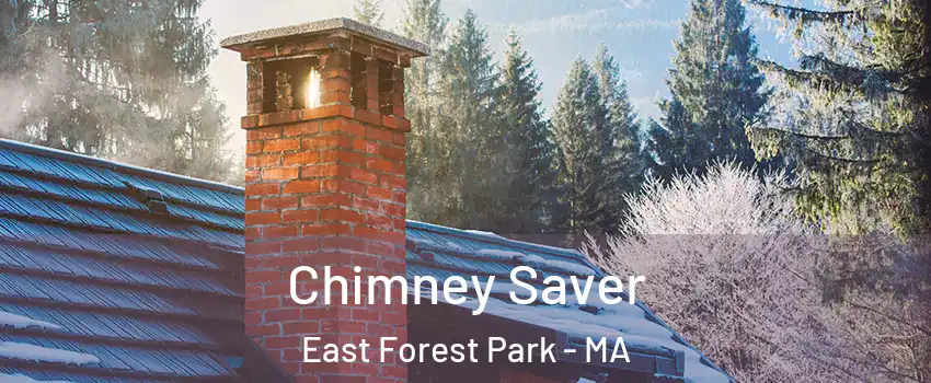 Chimney Saver East Forest Park - MA
