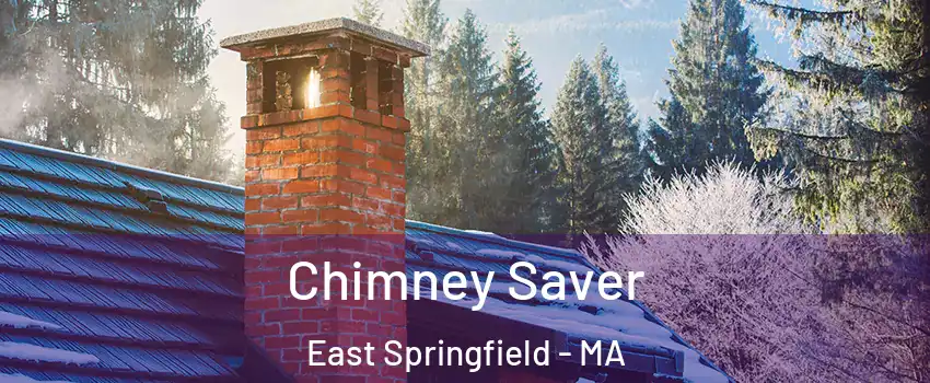 Chimney Saver East Springfield - MA