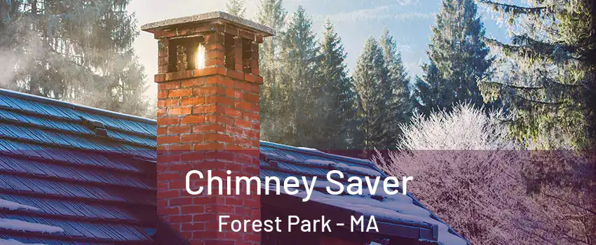 Chimney Saver Forest Park - MA