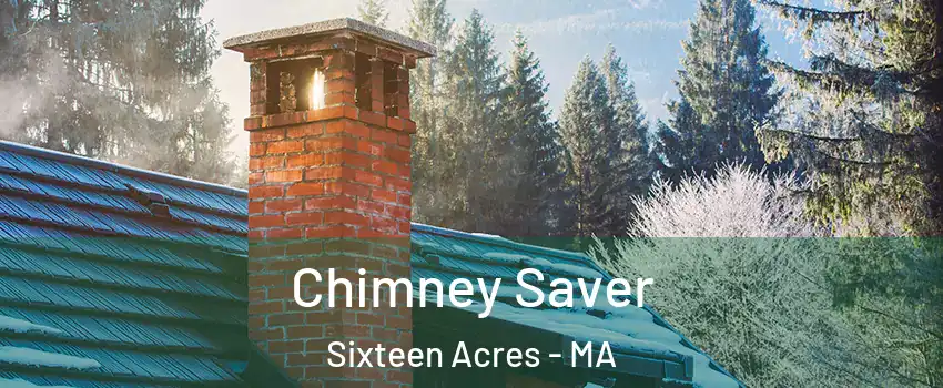 Chimney Saver Sixteen Acres - MA