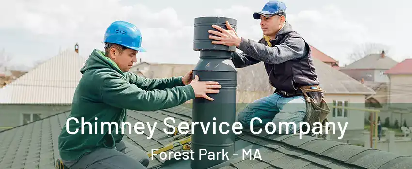 Chimney Service Company Forest Park - MA