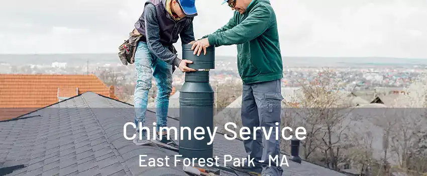 Chimney Service East Forest Park - MA
