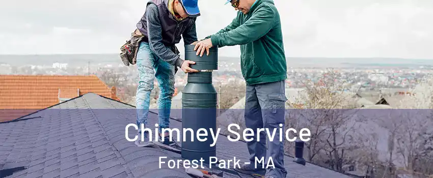 Chimney Service Forest Park - MA
