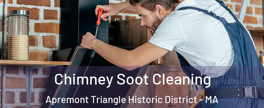Chimney Soot Cleaning Apremont Triangle Historic District - MA