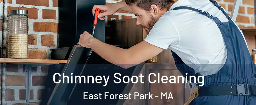 Chimney Soot Cleaning East Forest Park - MA