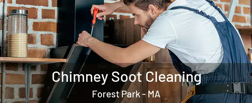 Chimney Soot Cleaning Forest Park - MA