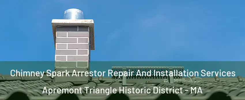 Chimney Spark Arrestor Repair And Installation Services Apremont Triangle Historic District - MA