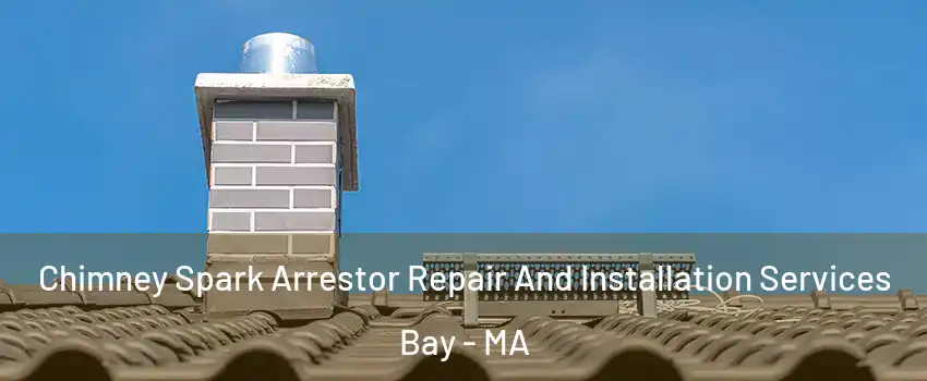 Chimney Spark Arrestor Repair And Installation Services Bay - MA