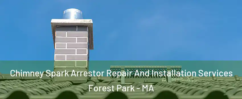 Chimney Spark Arrestor Repair And Installation Services Forest Park - MA