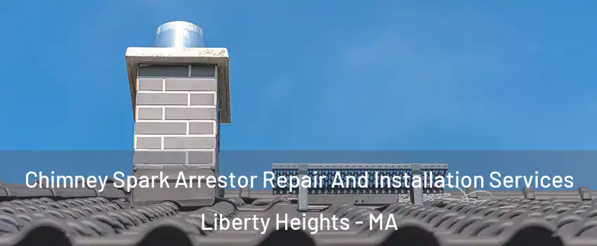 Chimney Spark Arrestor Repair And Installation Services Liberty Heights - MA