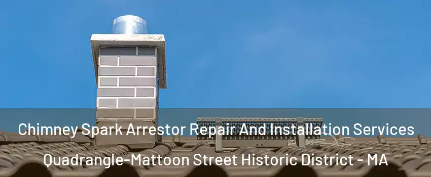 Chimney Spark Arrestor Repair And Installation Services Quadrangle-Mattoon Street Historic District - MA