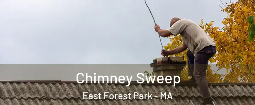 Chimney Sweep East Forest Park - MA