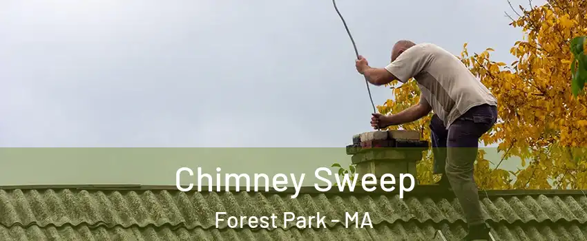 Chimney Sweep Forest Park - MA