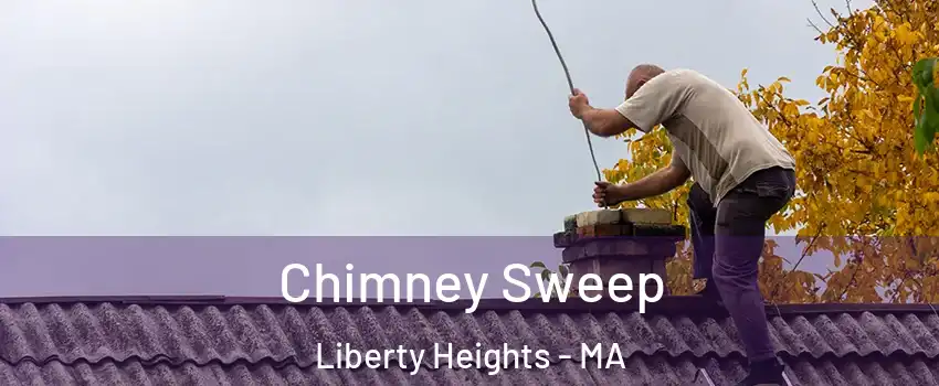Chimney Sweep Liberty Heights - MA