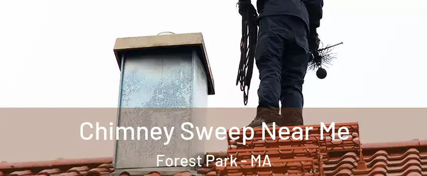 Chimney Sweep Near Me Forest Park - MA