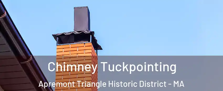 Chimney Tuckpointing Apremont Triangle Historic District - MA